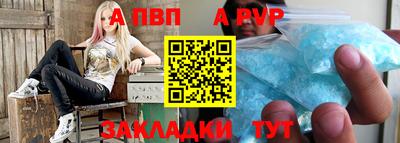 jwh Майкоп