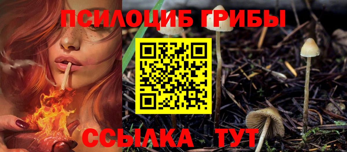 где продают наркотики  Вход с VPN  Ханты-Мансийск  Галлюциногенные грибы Psilocybine cubensis 