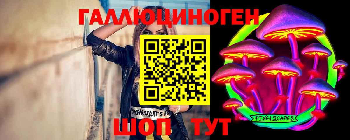 Псилоцибиновые грибы Psilocybine cubensis Ханты-Мансийск